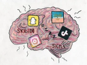 brain