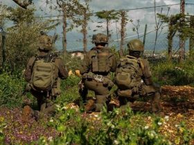 IDF